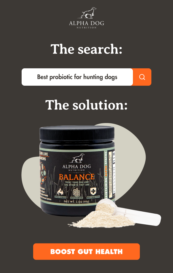 Alpha Dog Nutrition — The Search / The Solution email